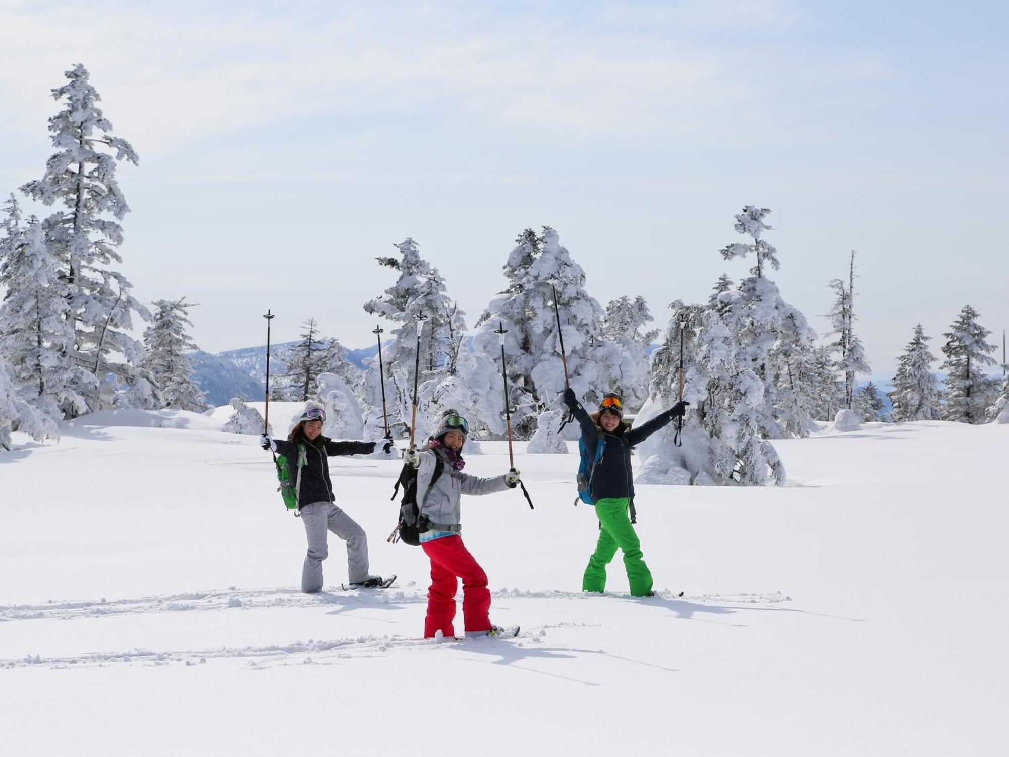 Sachinoyu Hotel Shiga Kogen يامانوتشي المظهر الخارجي الصورة