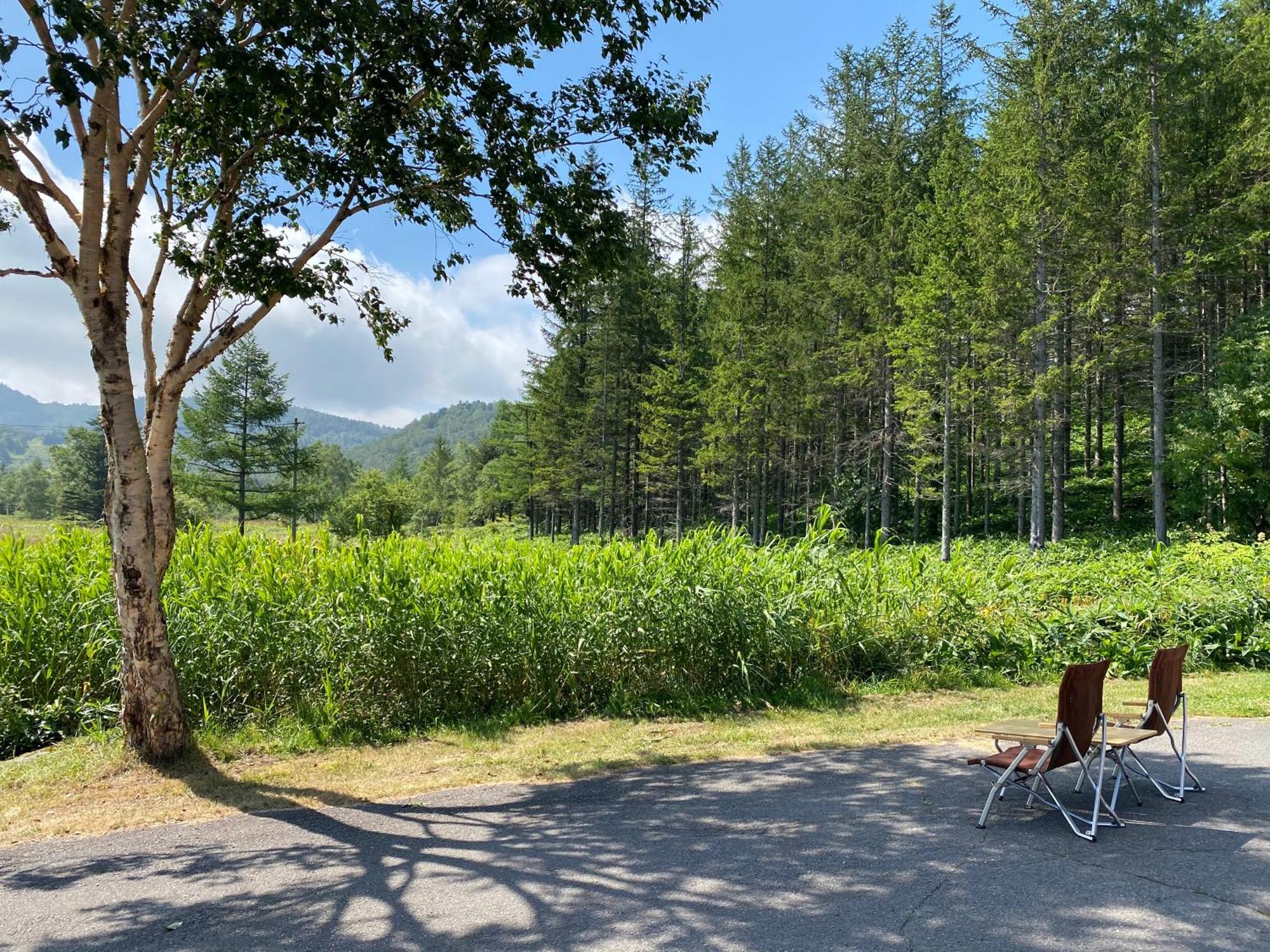 Sachinoyu Hotel Shiga Kogen يامانوتشي المظهر الخارجي الصورة